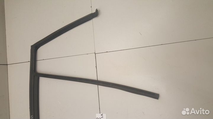 Уплотнитель двери задний левый (BMW X3)