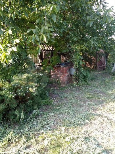 Дом 53 м² на участке 18 сот.