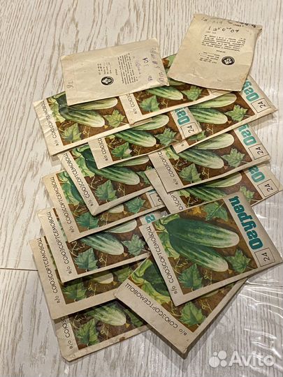 Семена огурцов
