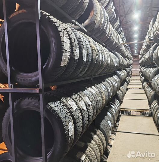 Tigar Winter 1 195/65 R15 91W