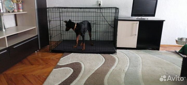 Клетка для собак