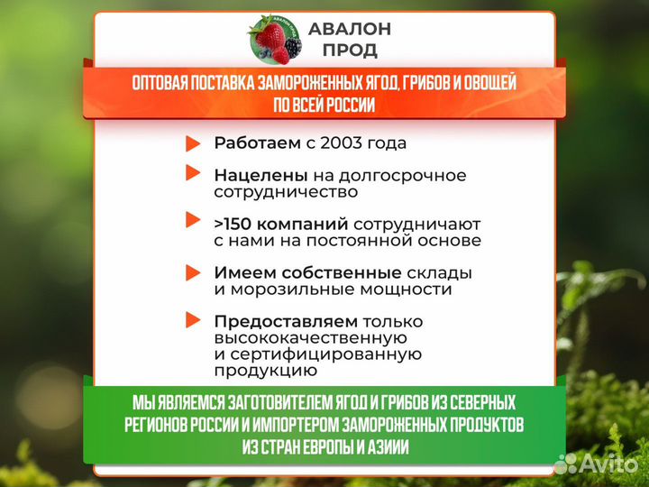 Черноплодная рябина /ягоды замороженные