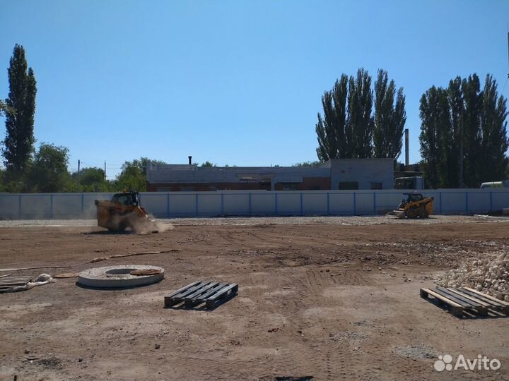 Аренда бобката