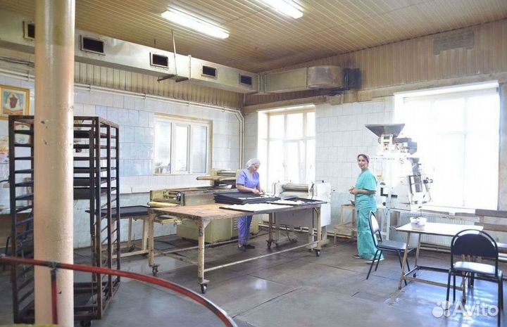 Прибыльный действующий Хлебзавод