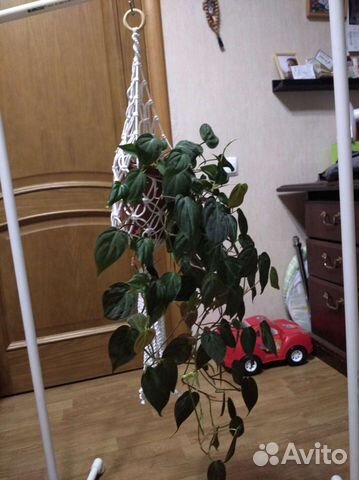 Кашпо макраме