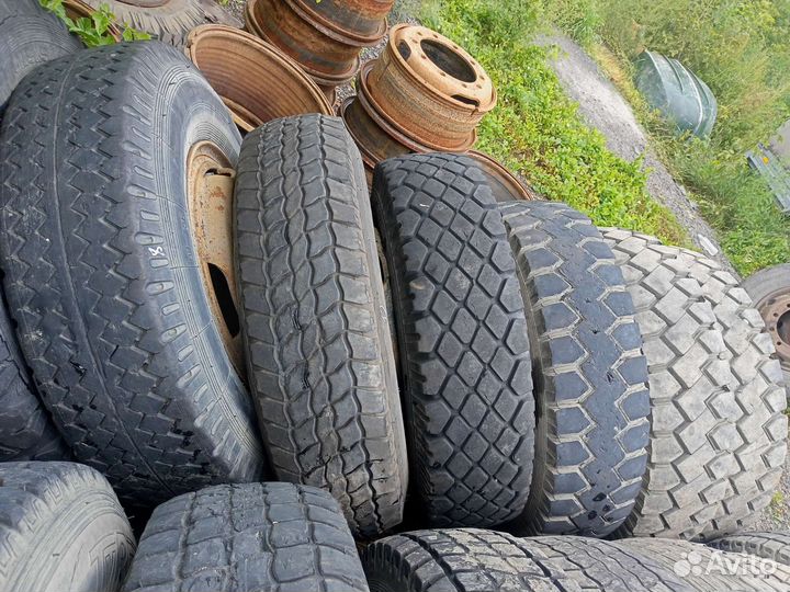 КАМА Кама-310 10/20 R20