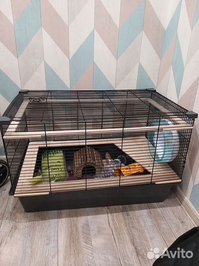 Клетка для грызунов бу