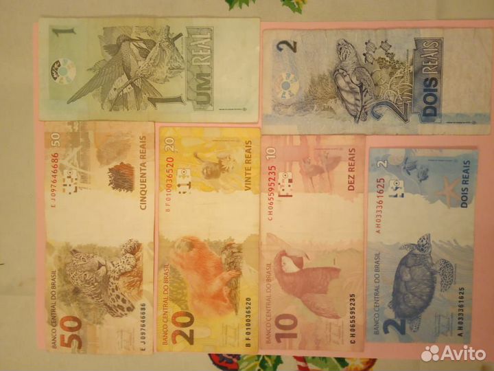 Юар, Бразилия,Египет,Гонконг.Сингапур,Алжир,Турция