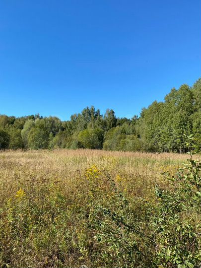 Участок 22 сот. (ИЖС)