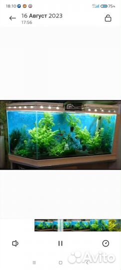 Стеклянные плочки-лесенки для аквариума