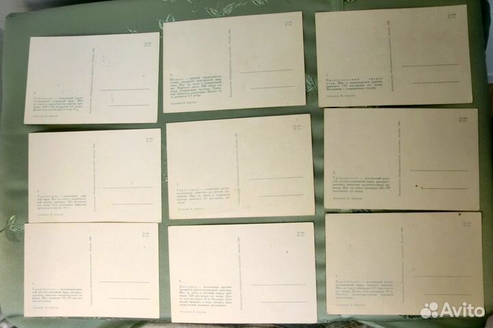 Ископаемые животные. Набор открыток