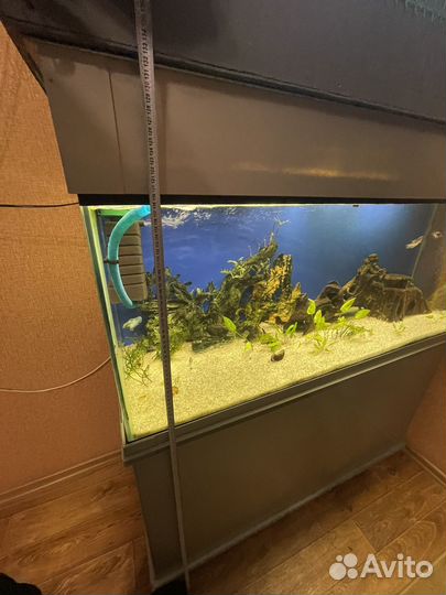 Аквариум с рыбками