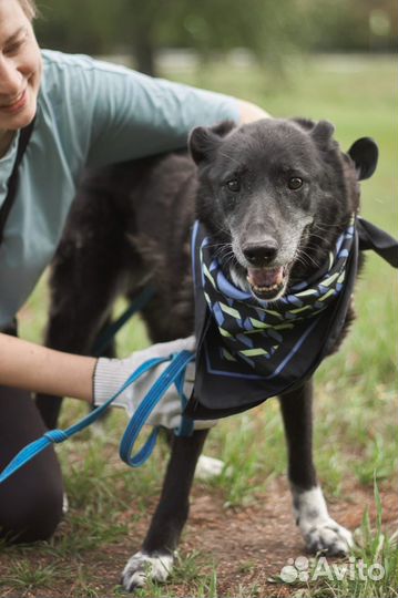 Пожилая Майка не хочет умирать в клетке