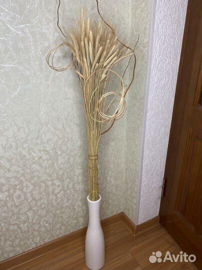 Колосья сухоцветы для интерьера