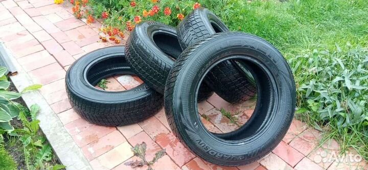 Nexen Winguard SUV 215/65 R16 98H