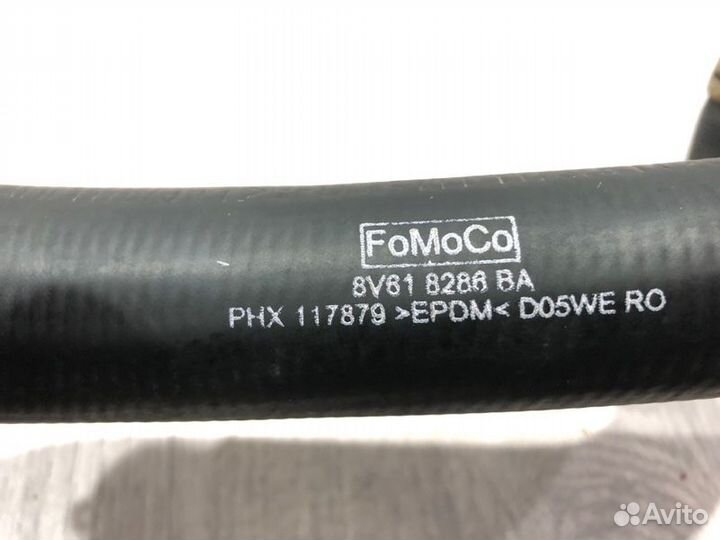 Патрубок радиатора нижний Ford Focus 3 pnda 2011