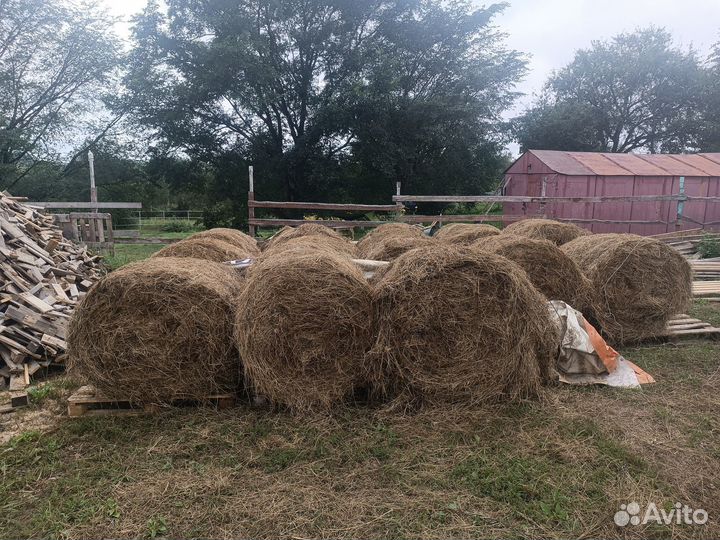 Сено на подстилку на огород