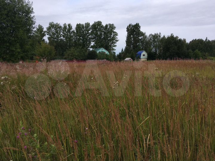 Участок 30 сот. (ИЖС)