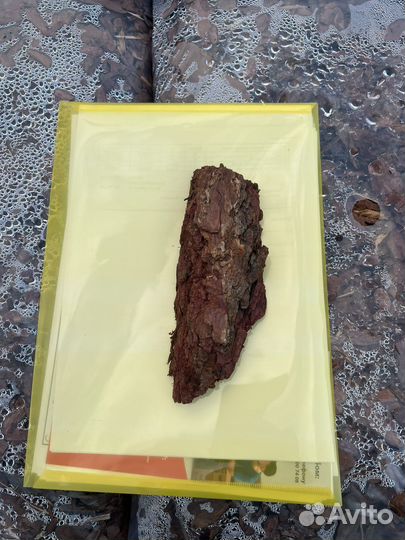 Кора сибирской лиственницы