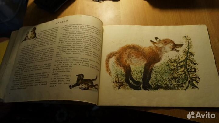 57,35 Книжка детская Зверята Чарушин Детгиз 1958г