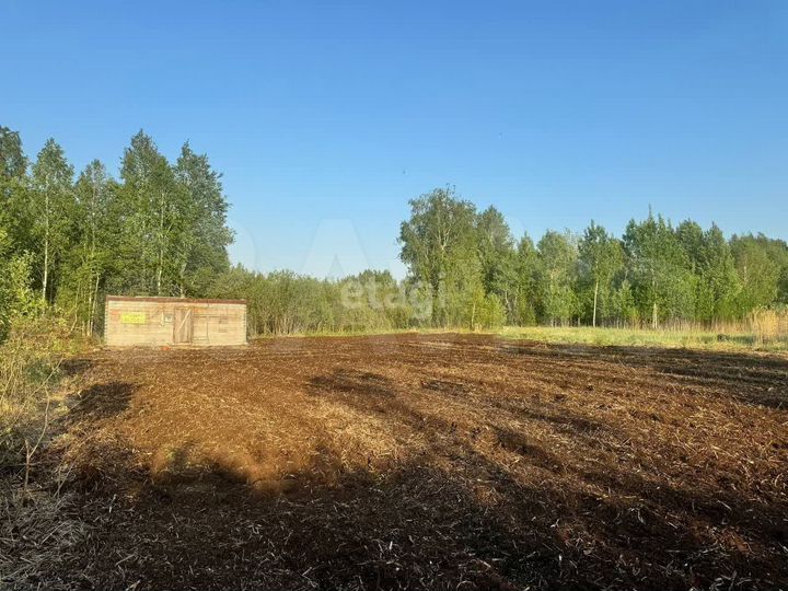 Участок 10,5 сот. (СНТ, ДНП)