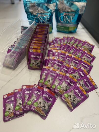 Кошачий корм