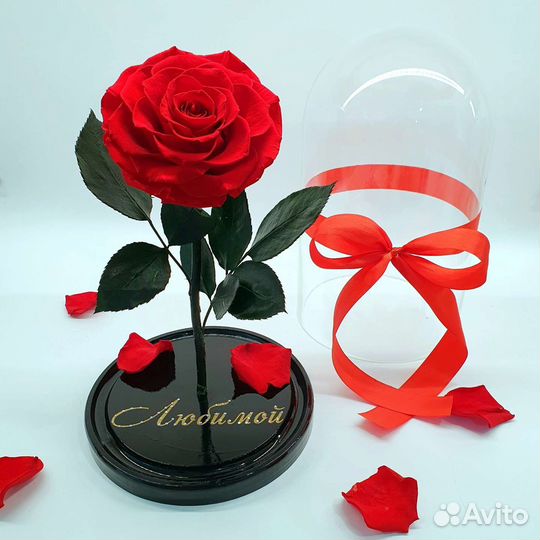 Розы в колбе