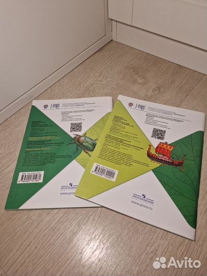 Рабочая тетрадь окружающий мир 4 класс