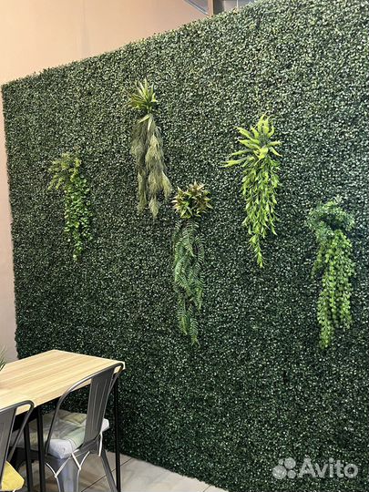 Трава искусственная самшит газон