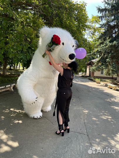 Белый Мишка поздравление/Ростовая кукла/Аниматор