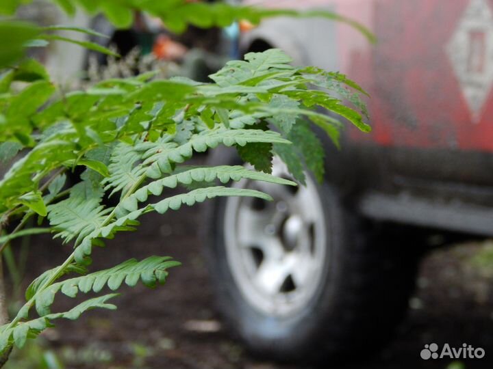 Джип-тур из Екатеринбурга на 1 день