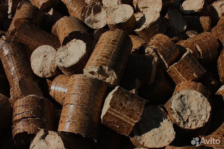 Древесина разных пород для стабильного горения