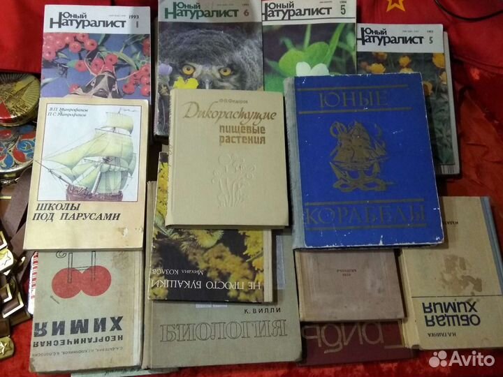 Дикорастущие пищевые растения книга СССР