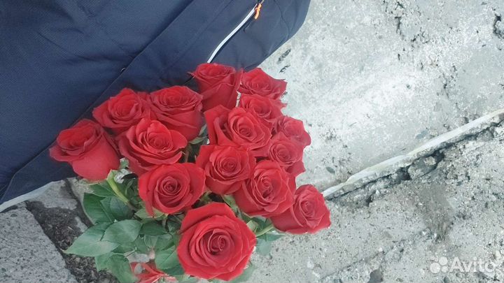 15 роз Эквадор Премиум Бесплатная доставка