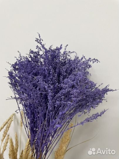 Сухоцветы. Крашенная