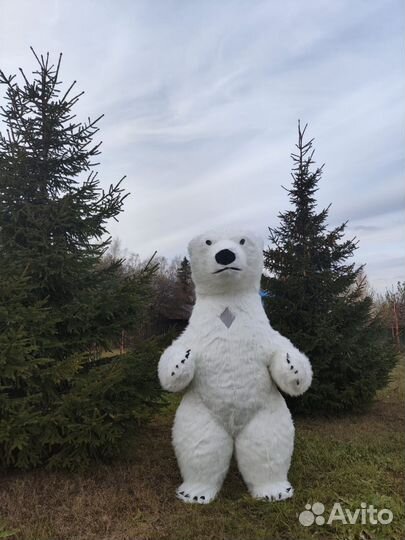 Праздники мероприятия