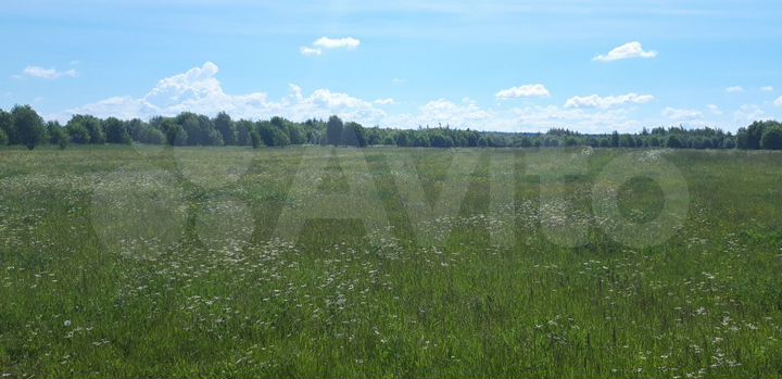 Участок 14,9 сот. (СНТ, ДНП)