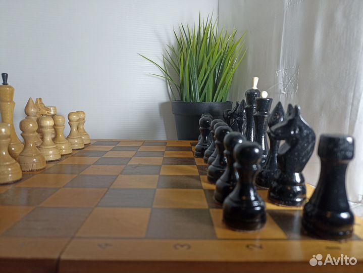 Шахматы СССР 1980