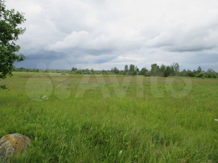 Участок 5,6 га (СНТ, ДНП)