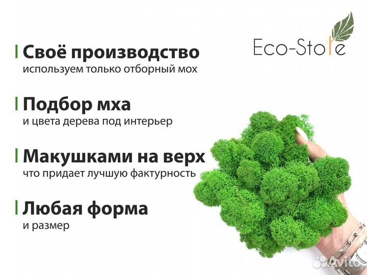 Стабилизированный мох.Фитостена из мха на кухню