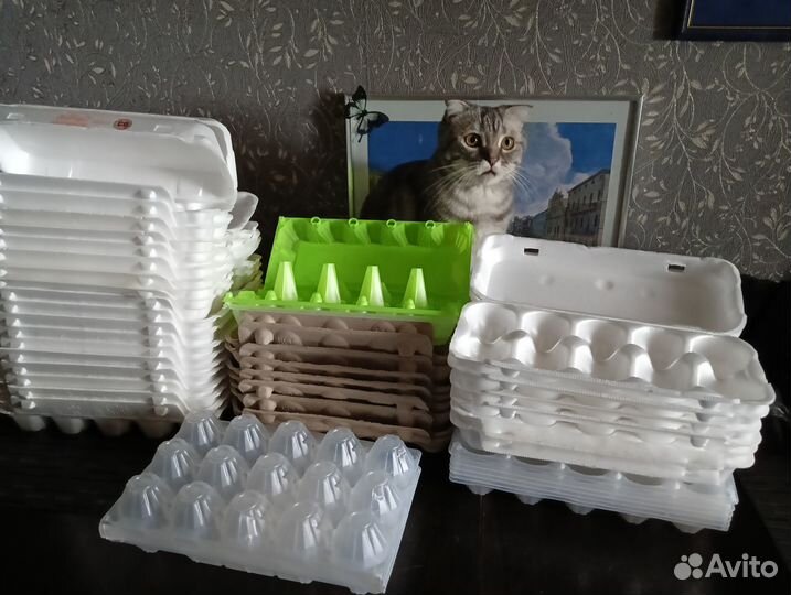 Упаковка ячейки из-под яиц