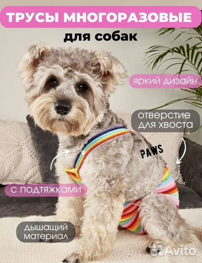 Трусы комбинезон одежда для собак на подтяжках