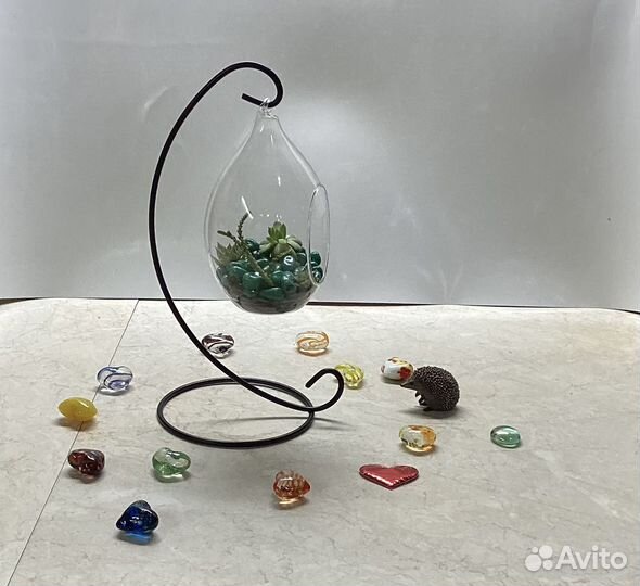 Мини флорариум