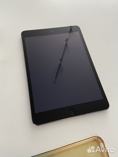 iPad mini 2