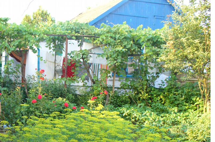 Дом 23,6 м² на участке 3,6 сот.