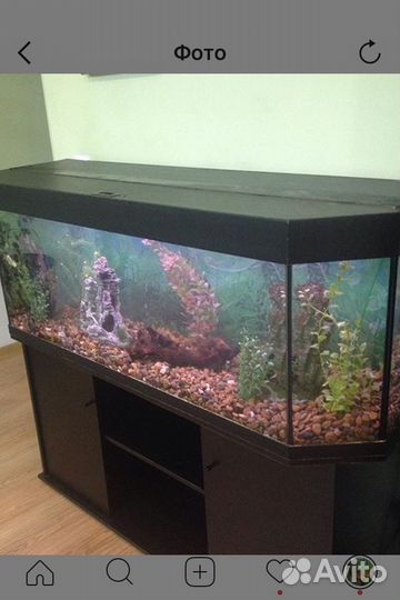 Чистка аквариума