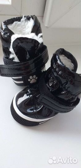 Ботиночки для маленькой собачки