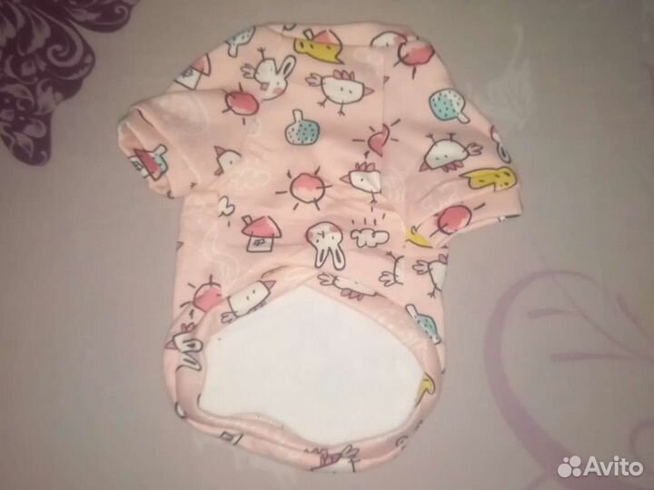 Одежда для собак мелких пород