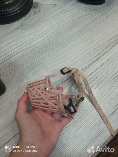 Намордник для собак