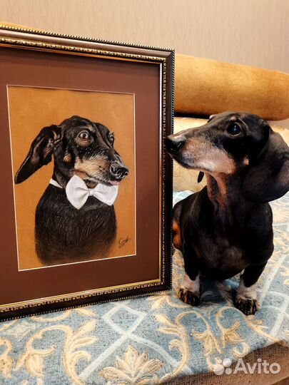 Портрет собаки